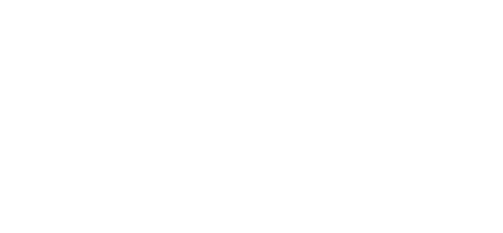 logo light